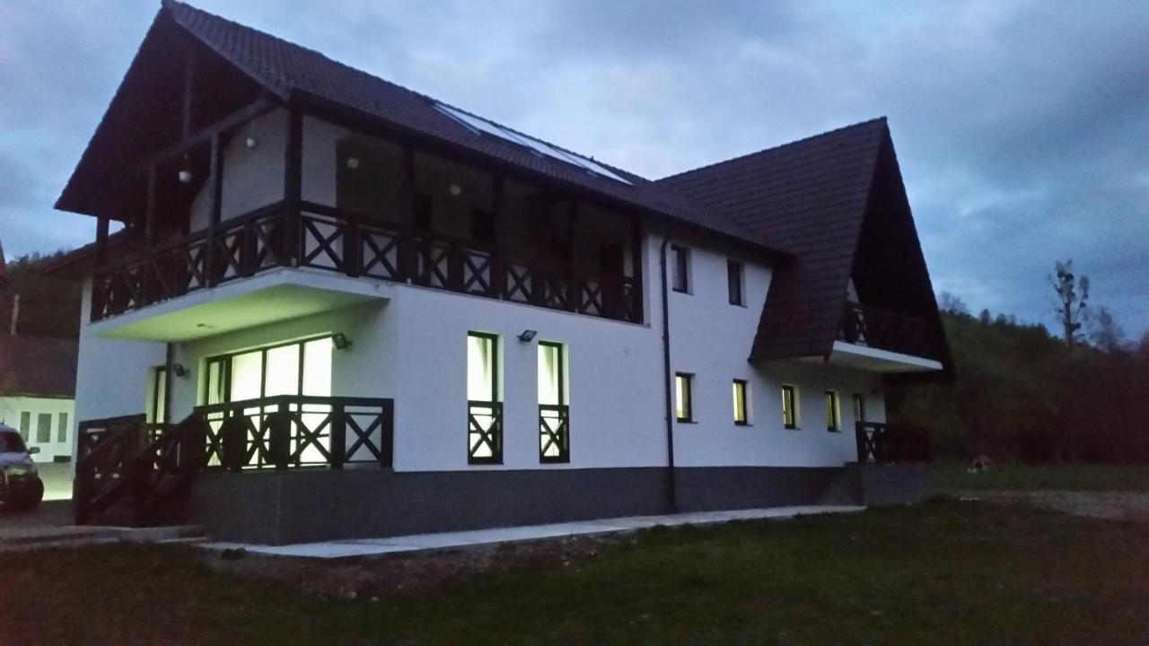 Pensiunea Steaua Nordului Vanatori  Bagian luar foto