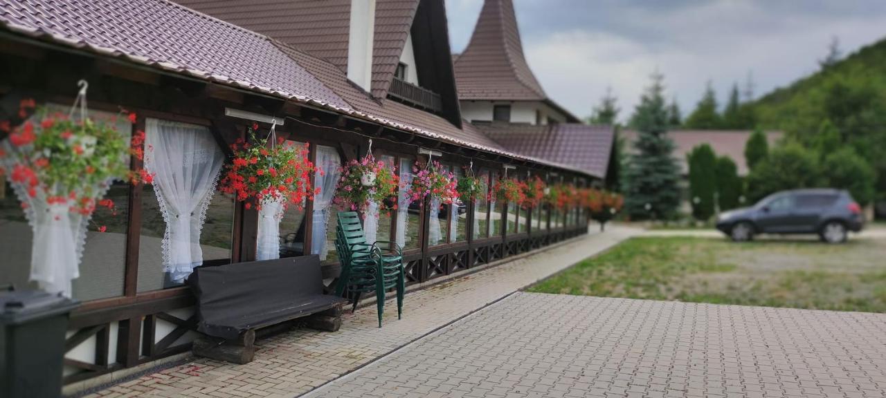 Pensiunea Steaua Nordului Vanatori  Bagian luar foto
