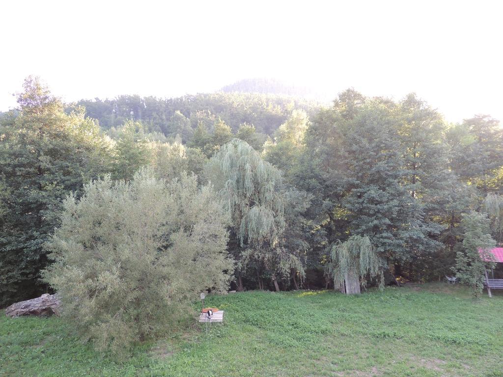 Pensiunea Steaua Nordului Vanatori  Bagian luar foto